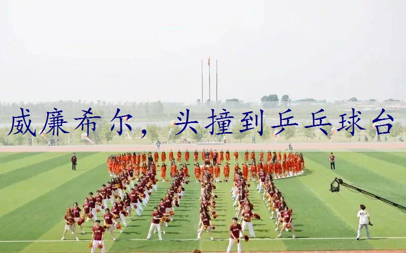 头撞到乒乓球台