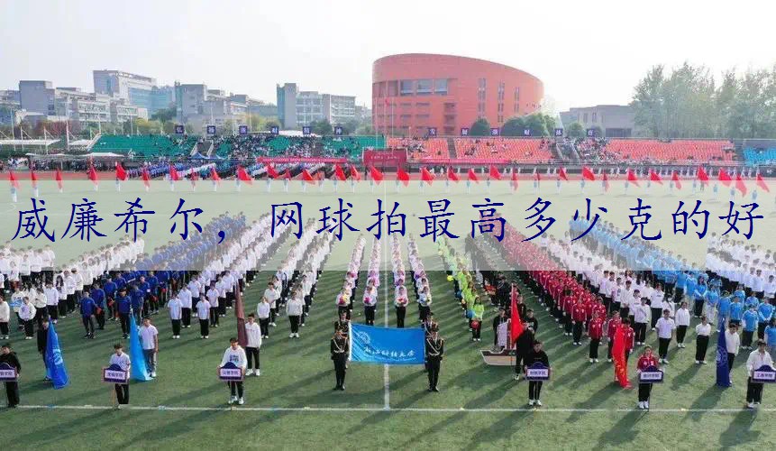 网球拍最高多少克的好