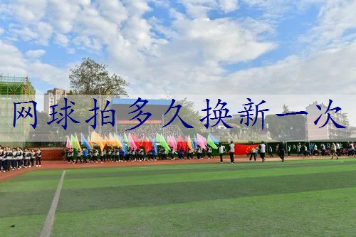 网球拍多久换新一次