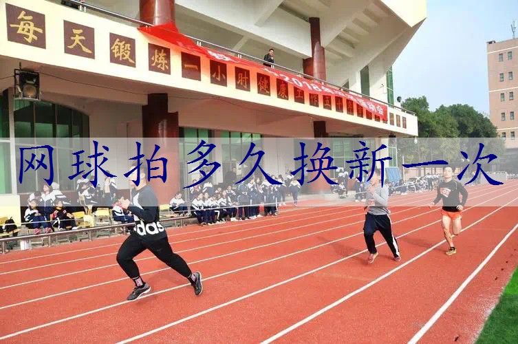 网球拍多久换新一次