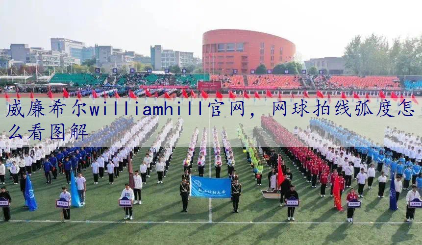 网球拍线弧度怎么看图解