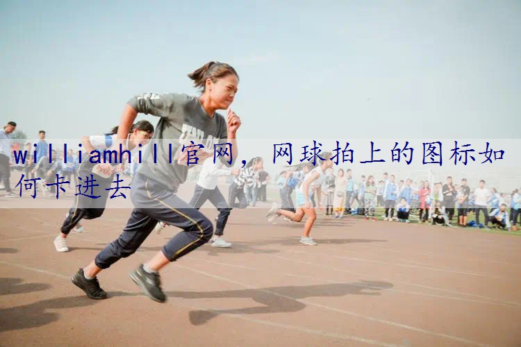 网球拍上的图标如何卡进去