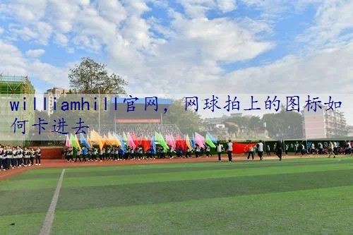 网球拍上的图标如何卡进去