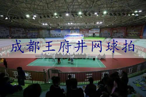 成都王府井网球拍