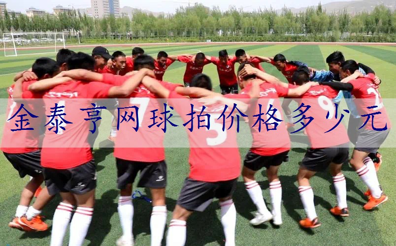 金泰亨网球拍价格多少元