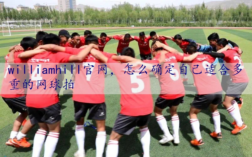 怎么确定自己适合多重的网球拍