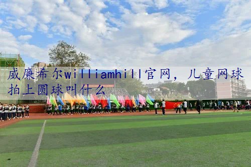 儿童网球拍上圆球叫什么