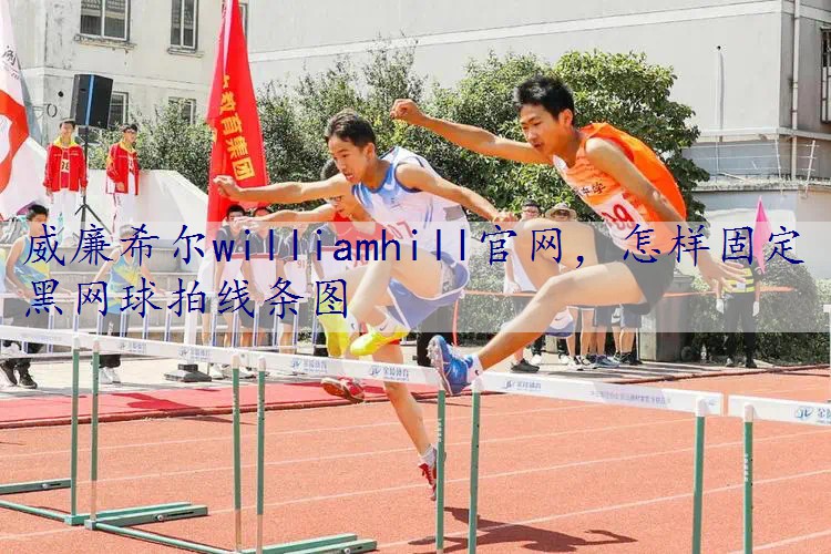 怎样固定黑网球拍线条图