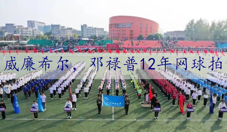 邓禄普12年网球拍