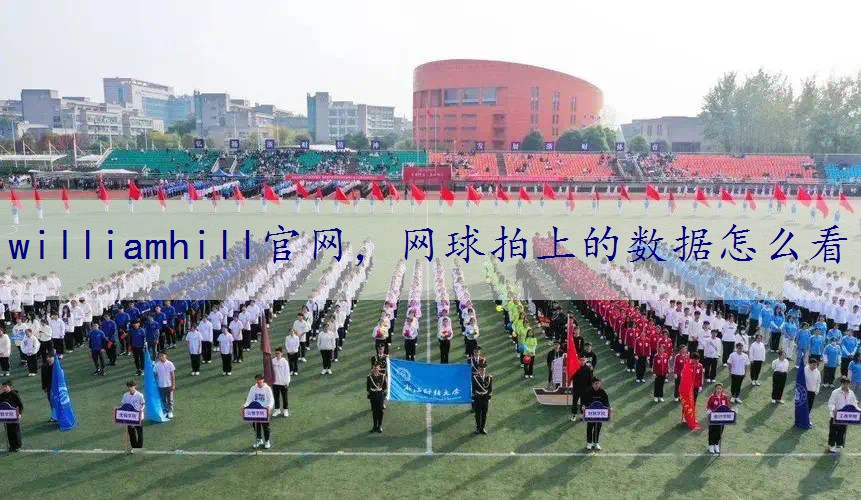 网球拍上的数据怎么看
