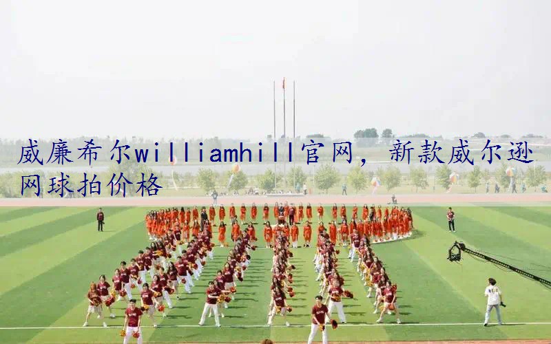 新款威尔逊网球拍价格