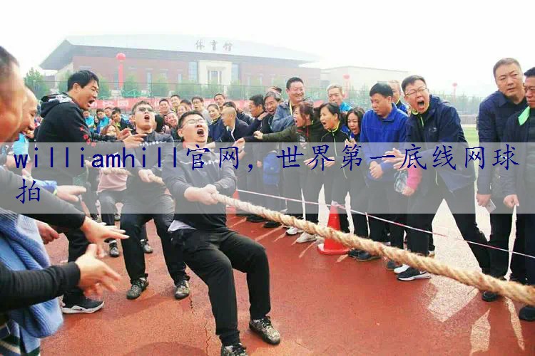 世界第一底线网球拍