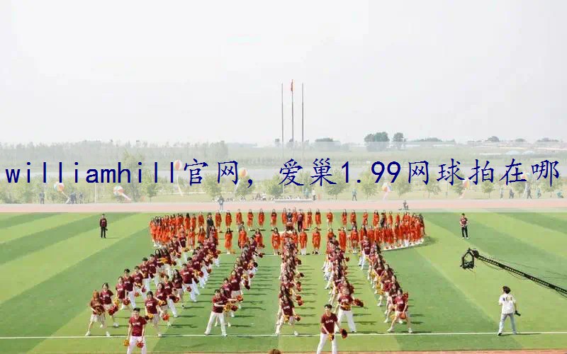 爱巢1.99网球拍在哪