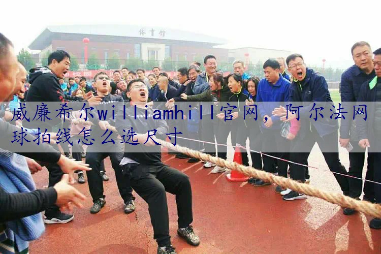阿尔法网球拍线怎么选尺寸