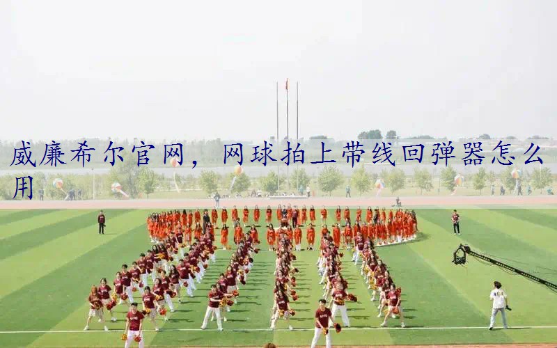 网球拍上带线回弹器怎么用