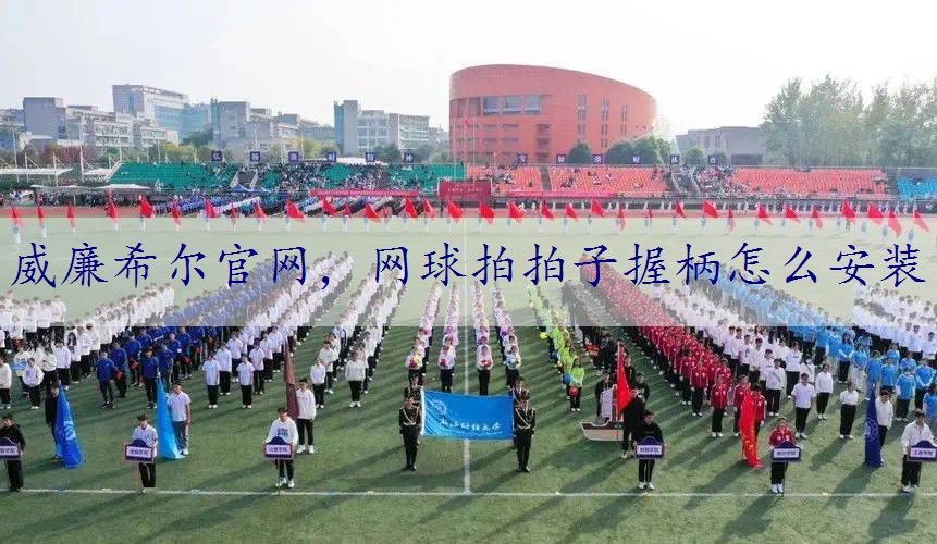 网球拍拍子握柄怎么安装