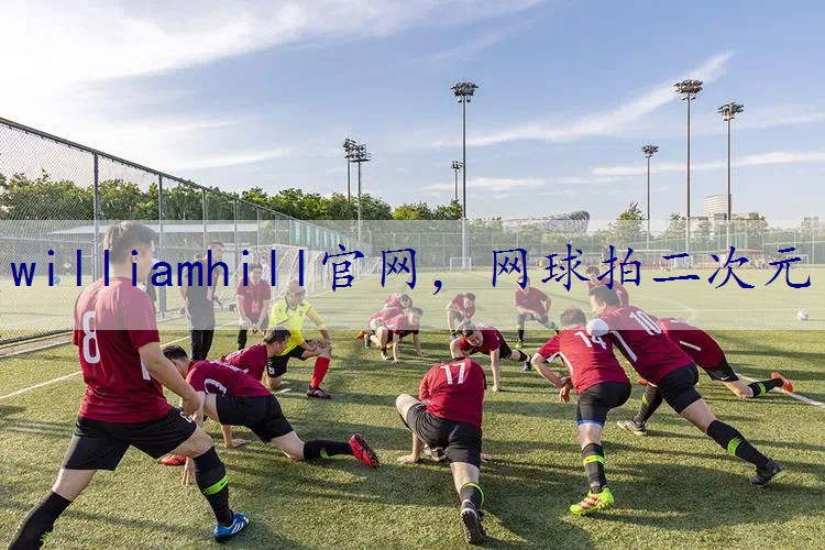 网球拍二次元