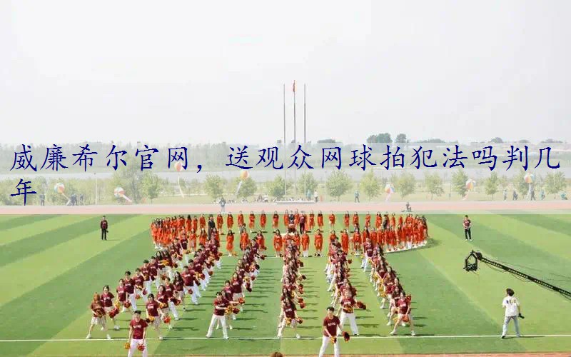 送观众网球拍犯法吗判几年