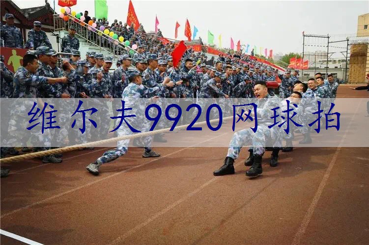 维尔夫9920网球拍