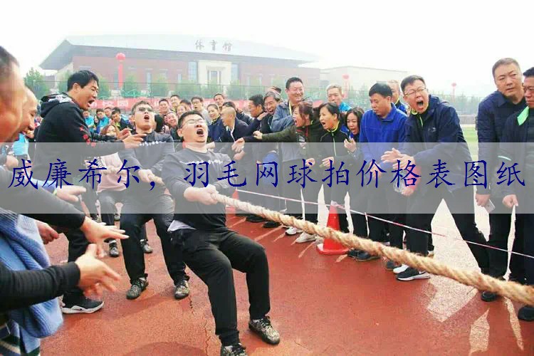 羽毛网球拍价格表图纸
