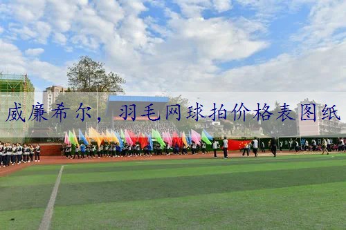 羽毛网球拍价格表图纸