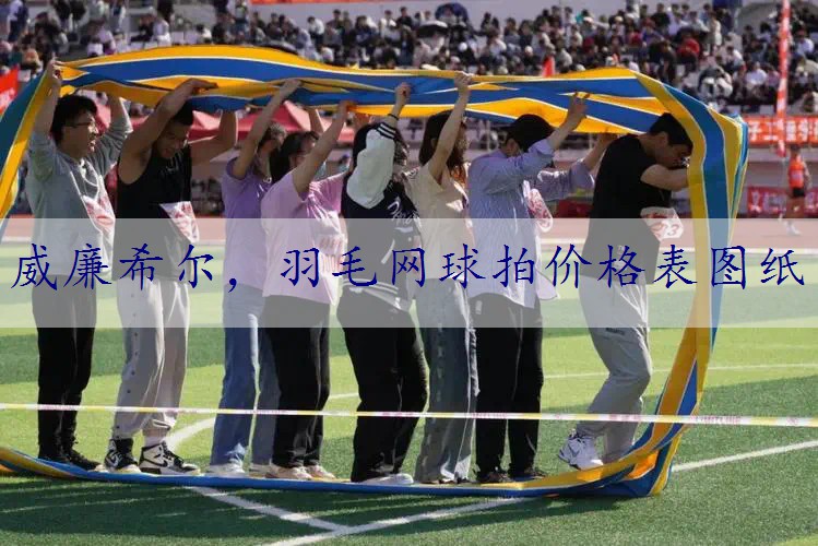 羽毛网球拍价格表图纸