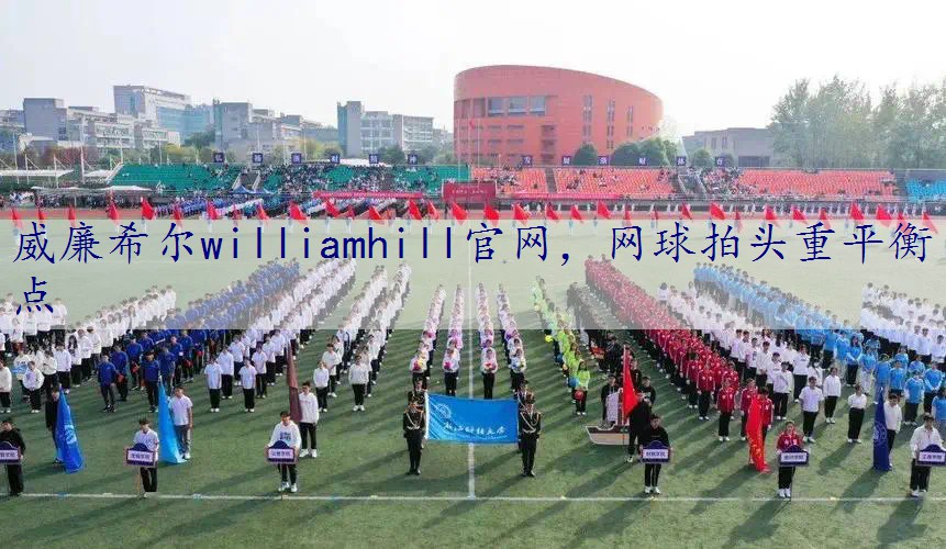网球拍头重平衡点