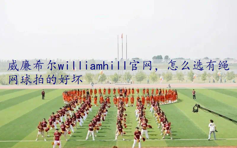 怎么选有绳网球拍的好坏