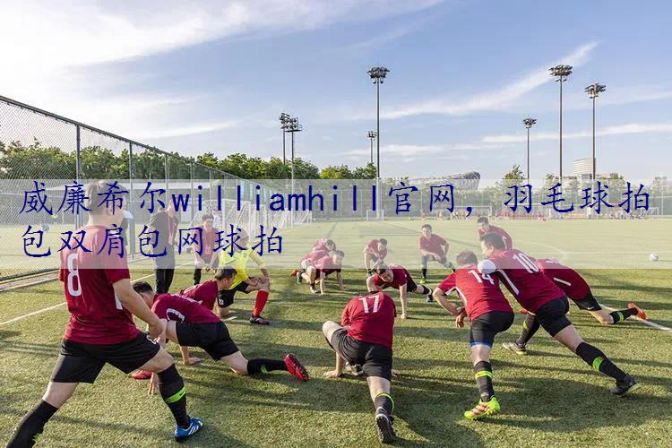 羽毛球拍包双肩包网球拍