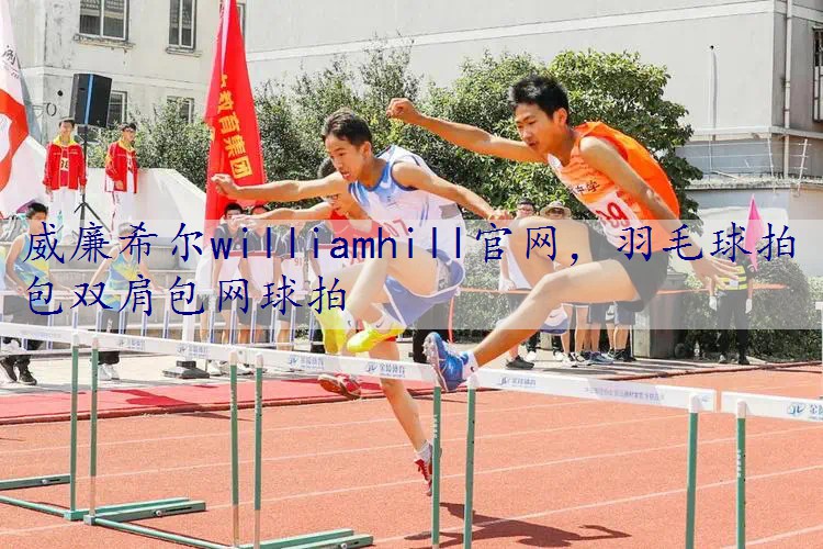 羽毛球拍包双肩包网球拍
