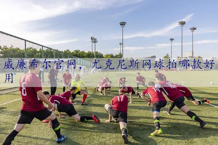 尤克尼斯网球拍哪款好用