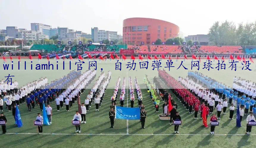 自动回弹单人网球拍有没有