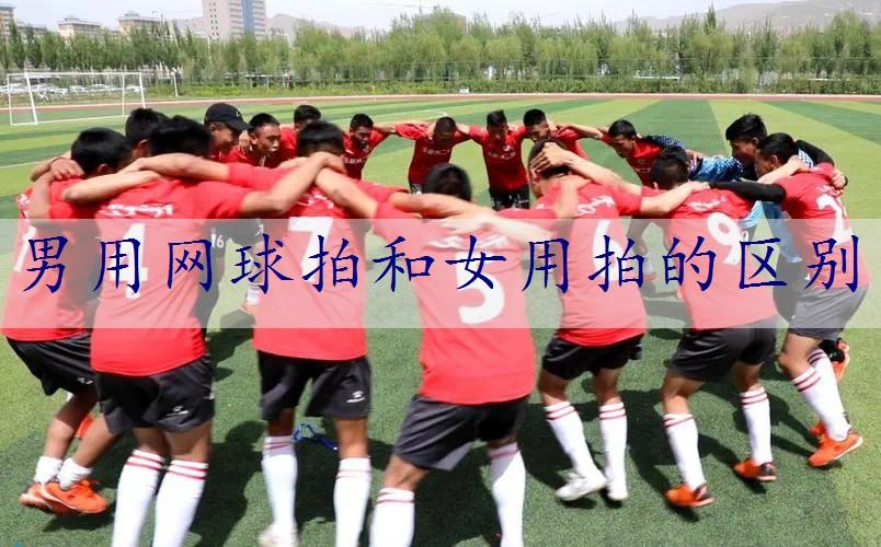 男用网球拍和女用拍的区别