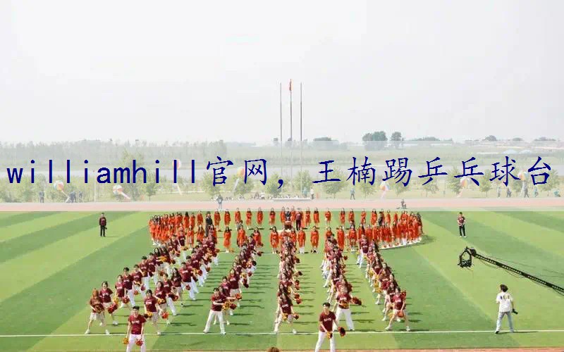 王楠踢乒乓球台