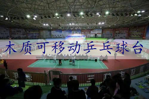 木质可移动乒乓球台